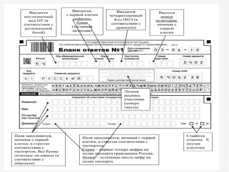 Правила заполнения бланков огэ образец